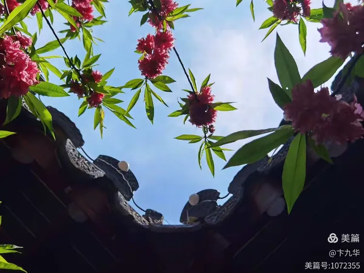 京韵苏风大美宛园